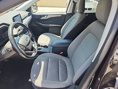 2021 Ford Escape Hybrid SE