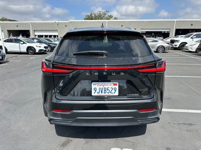 2024 Lexus NX 250 Base