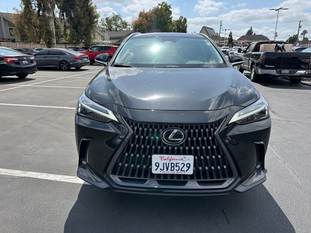 2024 Lexus NX 250 Base