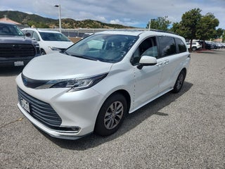 2023 Toyota Sienna XLE 8 Passenger