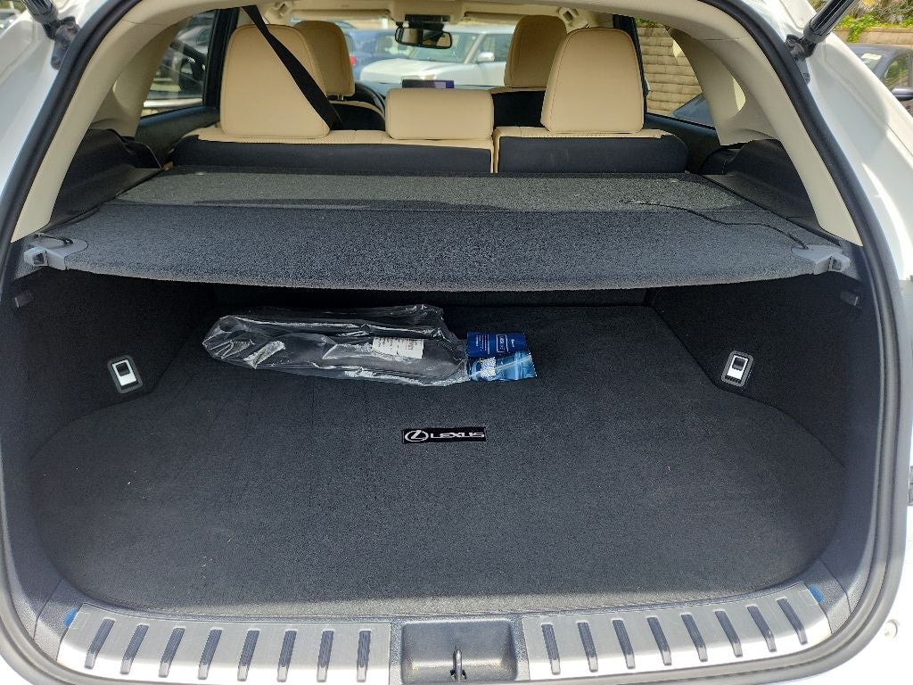 2021 Lexus NX 300h