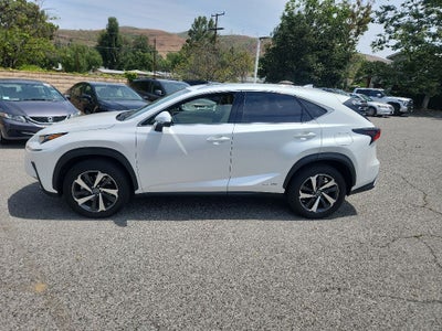 2021 Lexus NX 300h