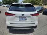2021 Lexus NX 300h